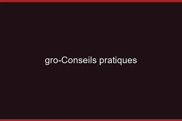 Conseils pratiques