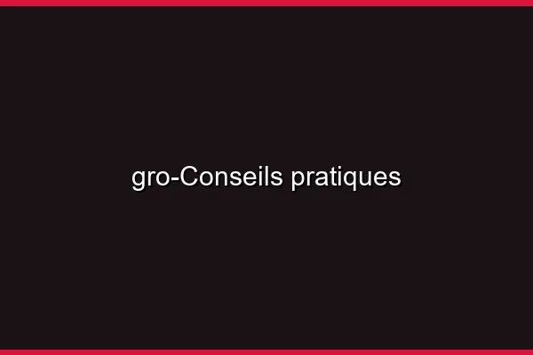 Conseils pratiques