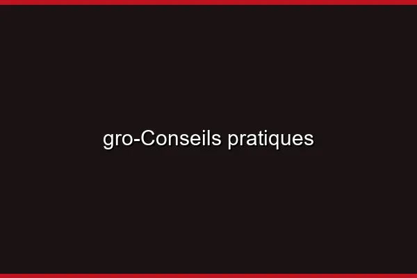 Conseils pratiques