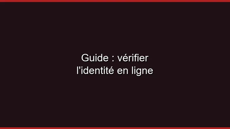 Guide : vérifier l'identité en ligne